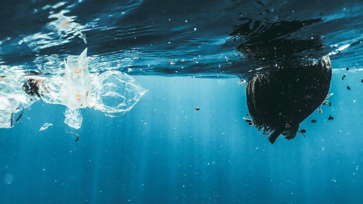 Как очистить воду от микропластика – ученые нашли легкий способ Как очистить воду от микропластика – ученые нашли легкий способ