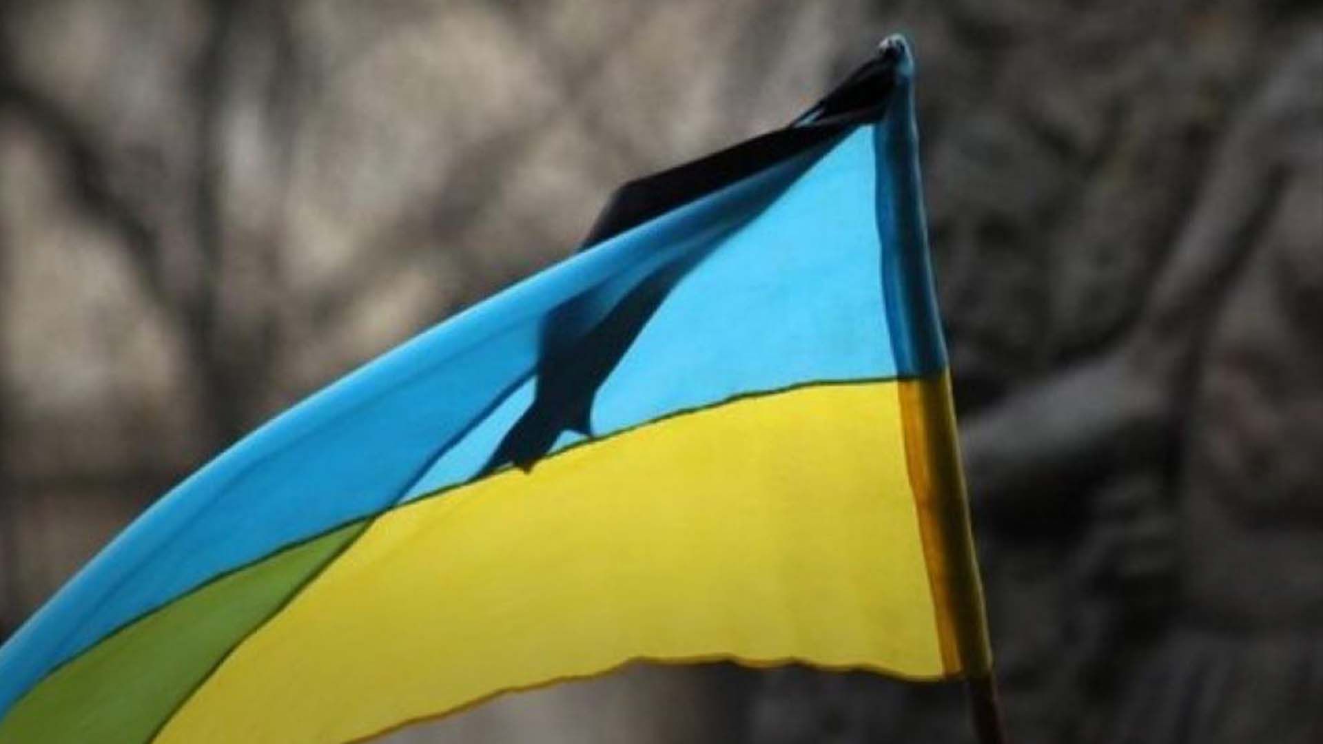 Враг расстрелял украинских военнопленных вблизи Новодаровки в Запорожье - 24 Канал Враг расстрелял украинских военнопленных вблизи Новодаровки в Запорожье - 24 Канал