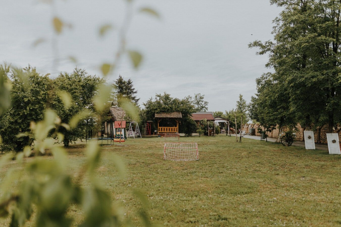 Штраф за дрова зі своїх дерев Штраф за дрова зі своїх дерев