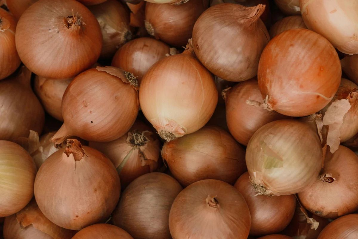 Ціни на цибулю помітно підскочили Ціни на цибулю помітно підскочили