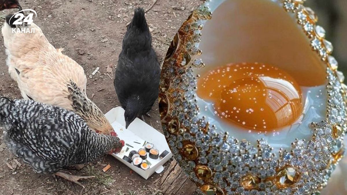 Цены на яйца в Украине породили немало мемов Цены на яйца в Украине породили немало мемов