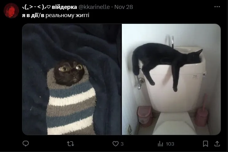 Тренд Тренд