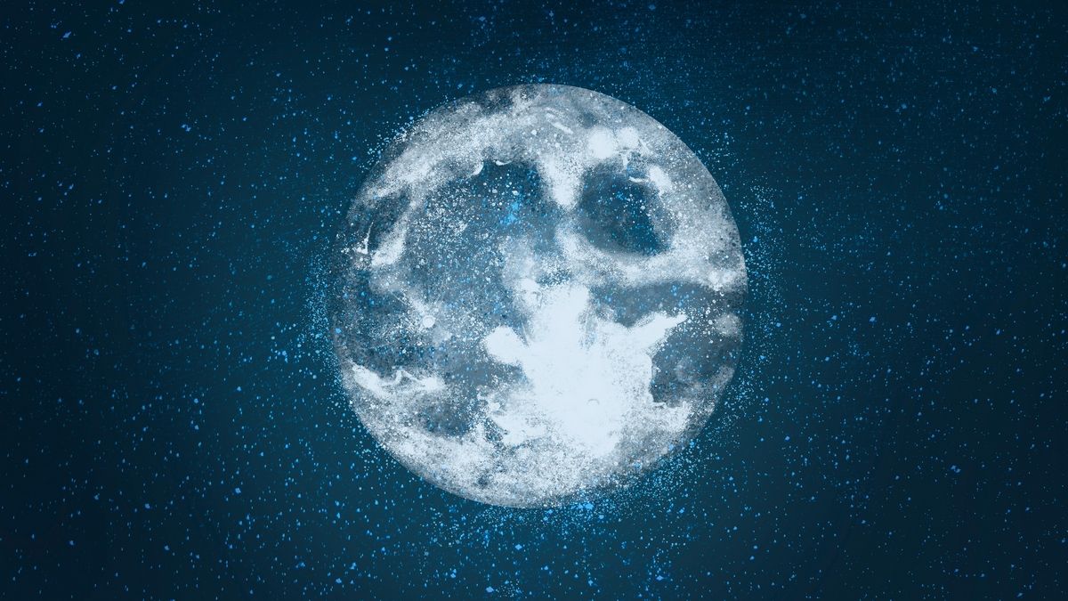 Проголосуйте за название канадского лунохода Проголосуйте за название канадского лунохода