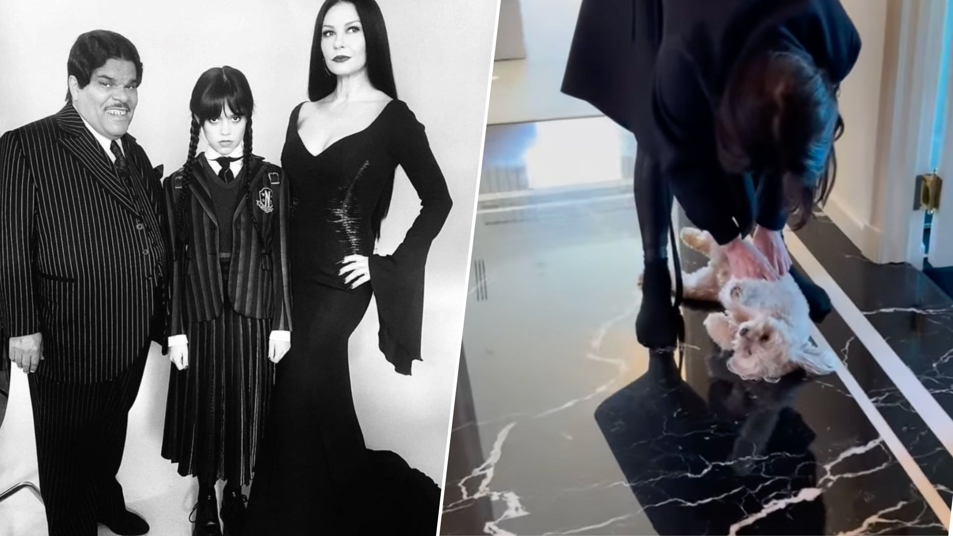 Черный пол в коридоре Кэтрин Зеты-Джонс является идеальным примером для интерьера Черный пол в коридоре Кэтрин Зеты-Джонс является идеальным примером для интерьера