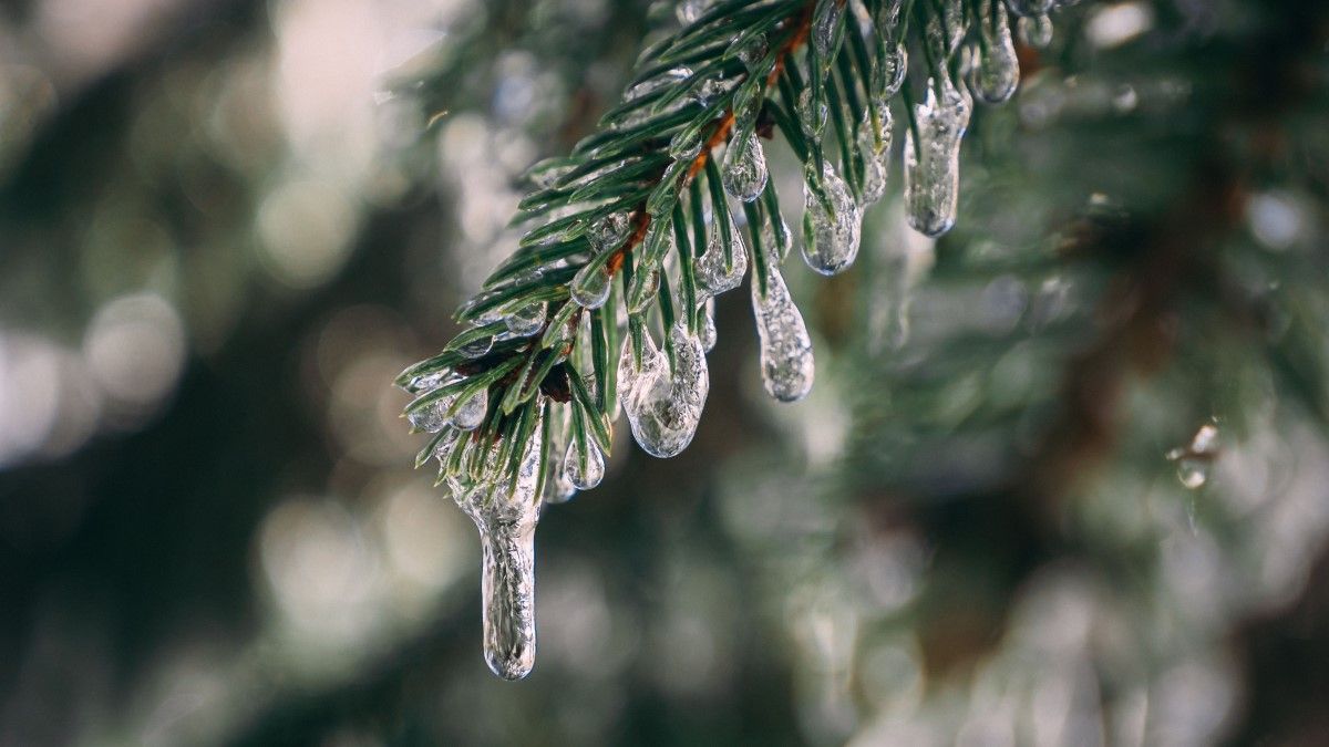 Сезон "сосульок" скоро розпочнеться Сезон "сосульок" скоро розпочнеться