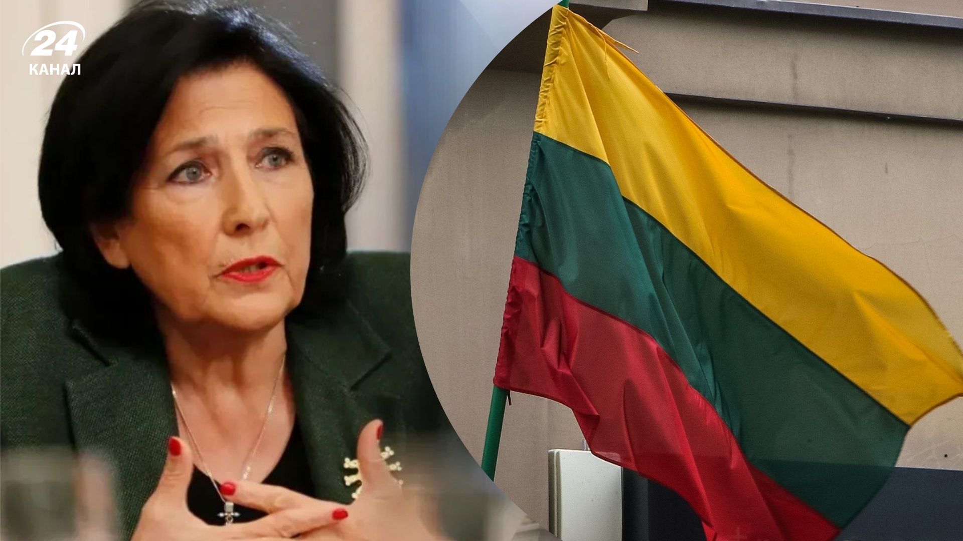 Литва готова надати притулок президентці Грузії Литва готова надати притулок президентці Грузії
