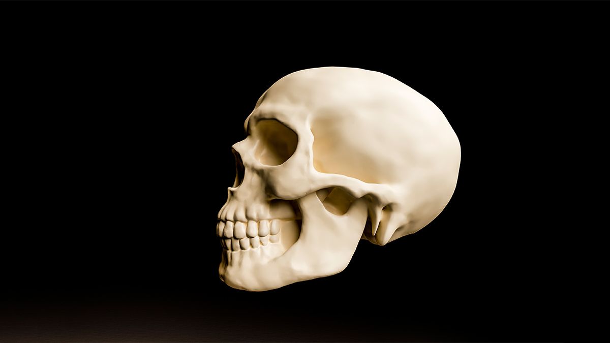 Вчені пропонують виділити новий вид вимерлих людей Homo juluensis Вчені пропонують виділити новий вид вимерлих людей Homo juluensis