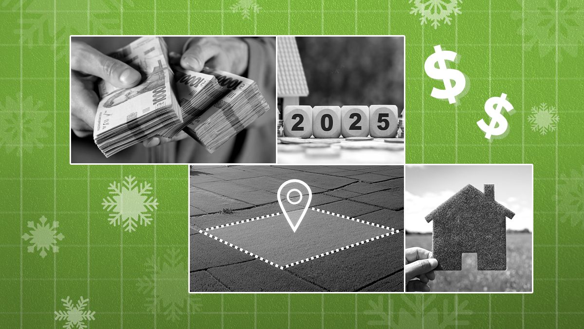 Сколько будет стоить земля в 2025 году Сколько будет стоить земля в 2025 году