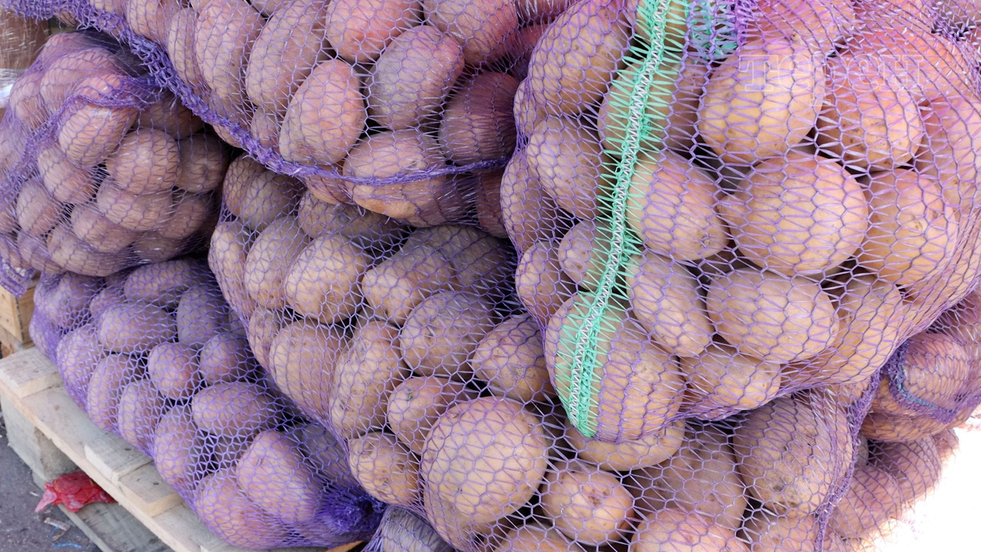 Картопля продовжує дорожчати Картопля продовжує дорожчати