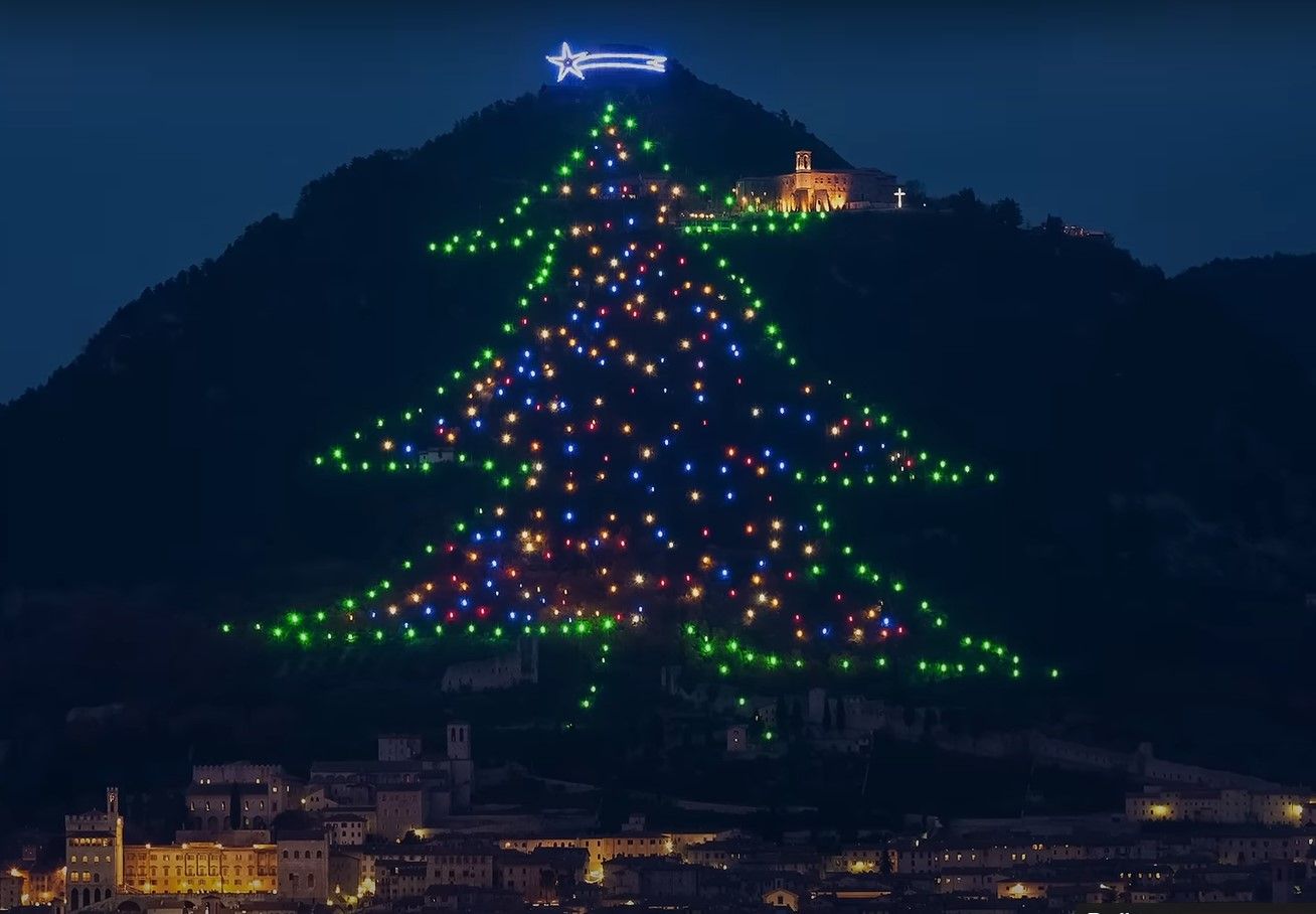 самые большие елки - Тренды самые большие елки - Тренды