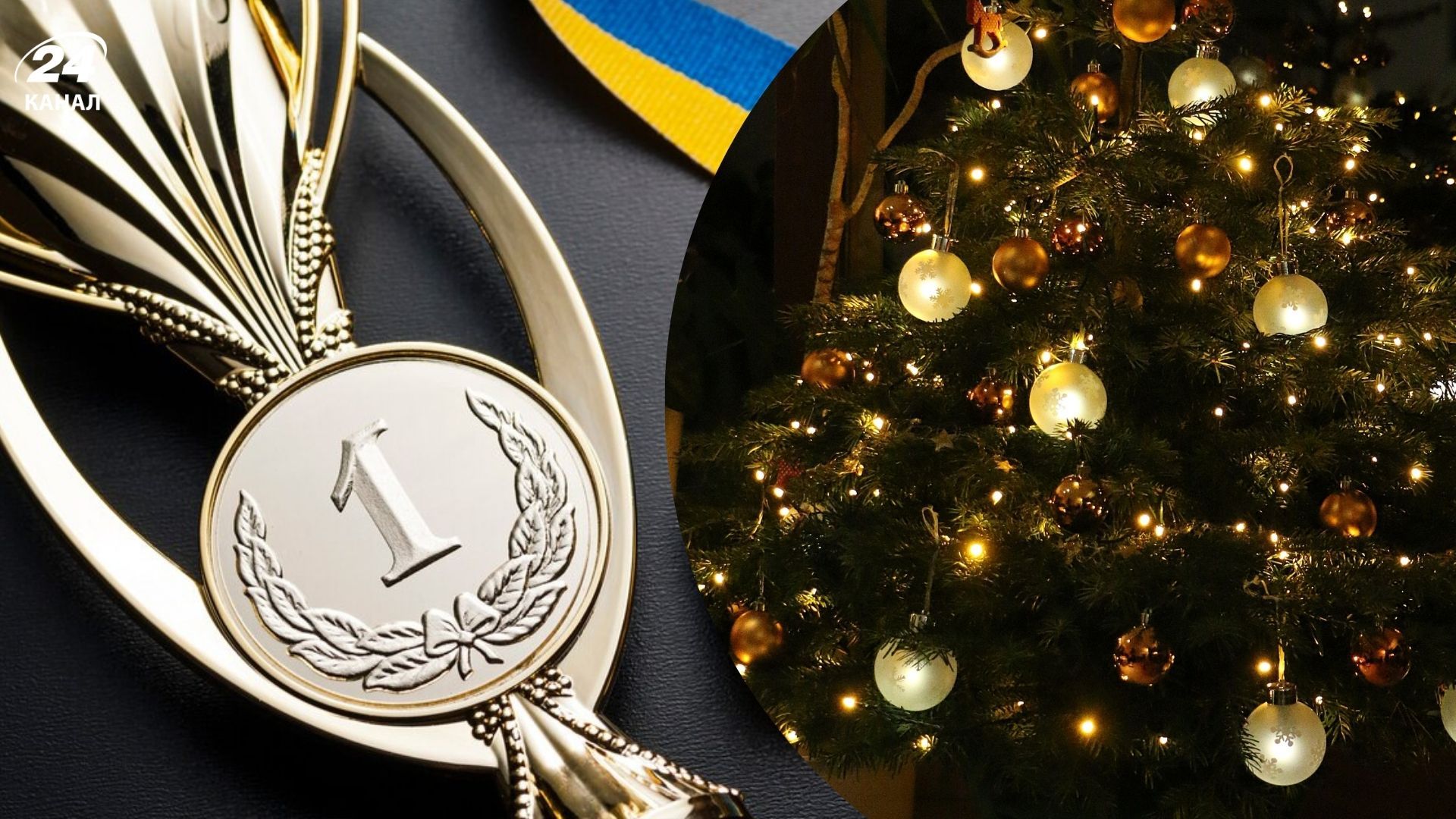 Новогодние елки из Книги рекордов Украины Новогодние елки из Книги рекордов Украины