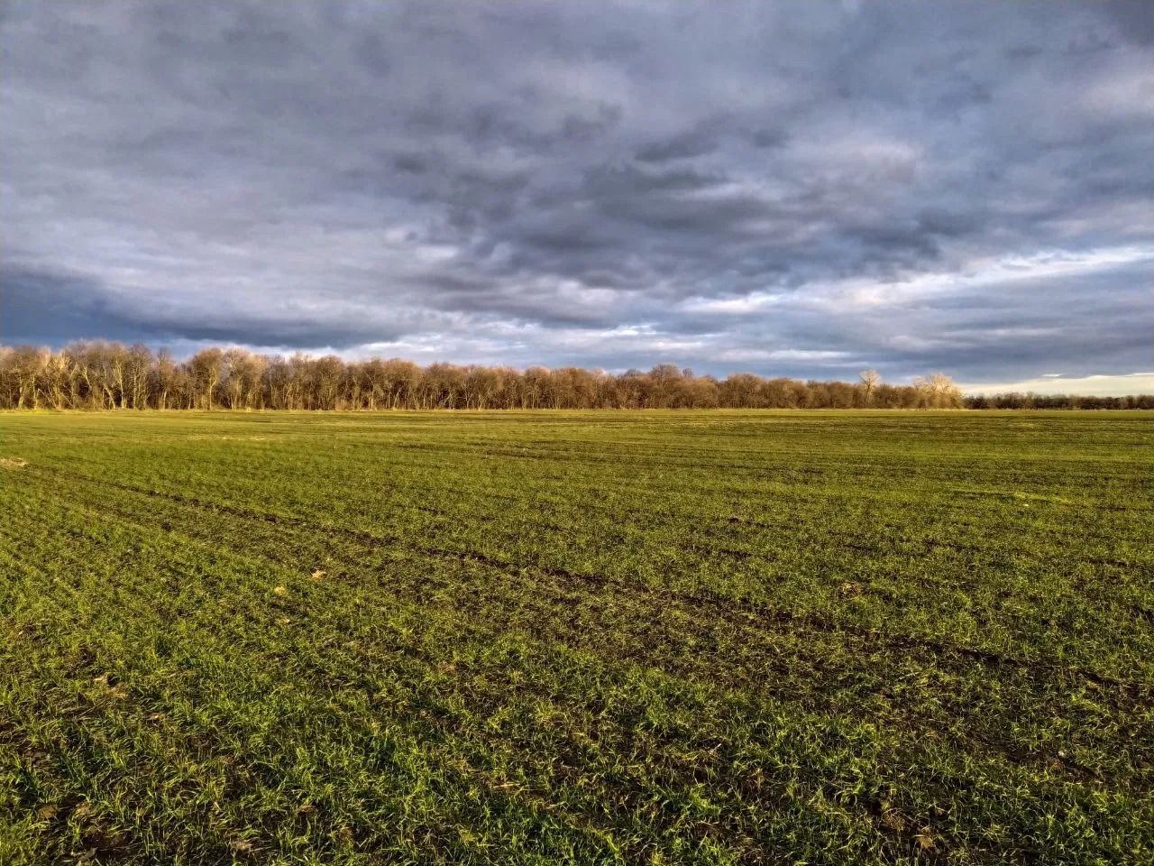 Как оформить наследство на землю Как оформить наследство на землю