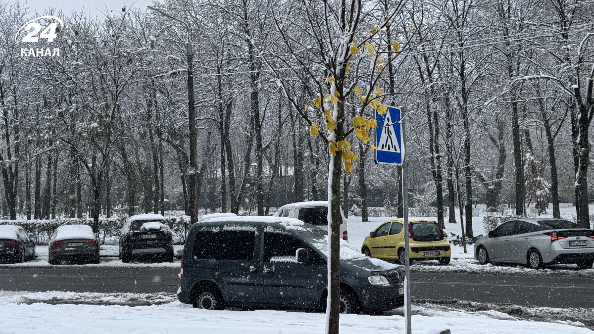 Сніг в Україні Сніг в Україні