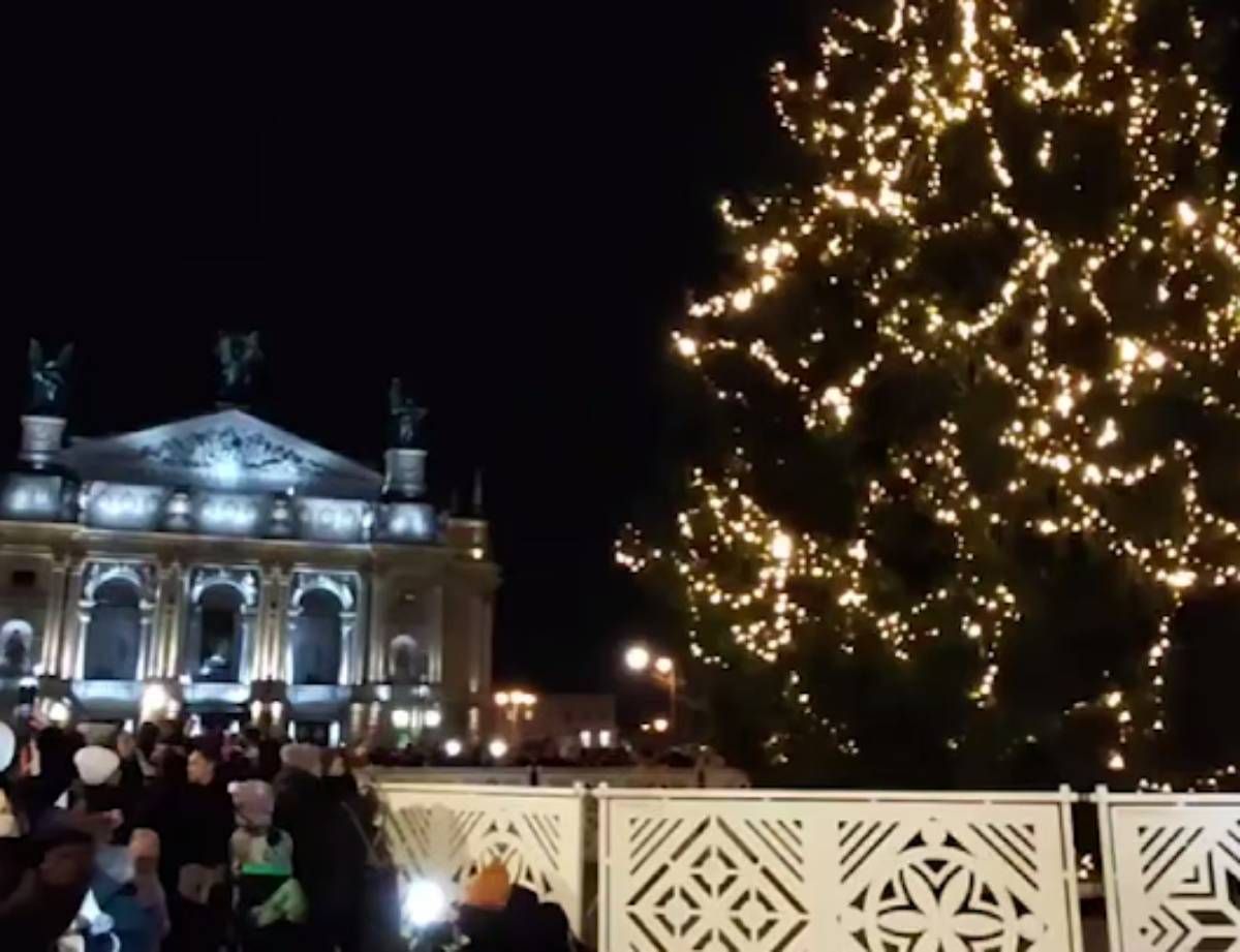 Головна ялинка Львова Головна ялинка Львова