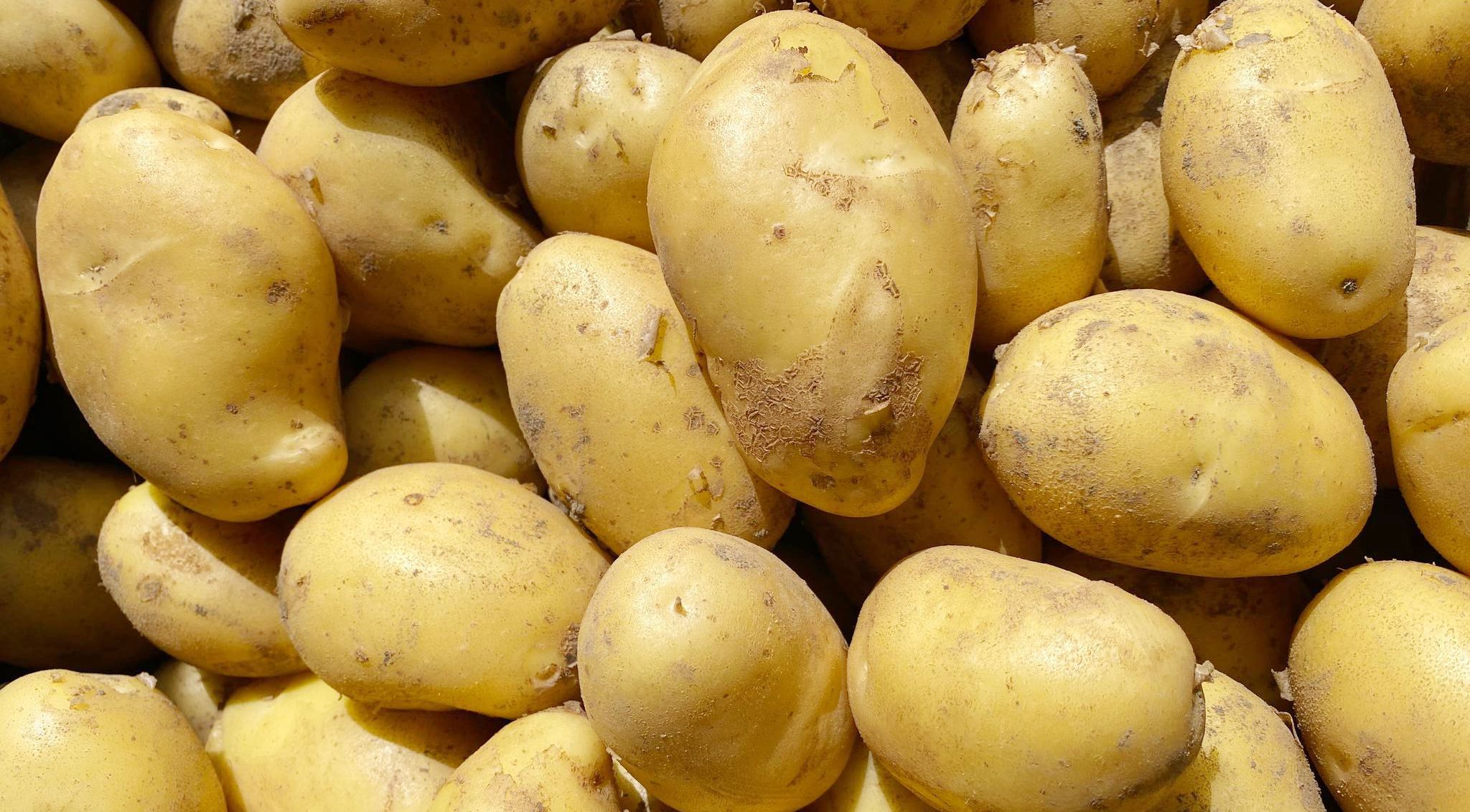 Сколько картофель стоит в магазинах Сколько картофель стоит в магазинах