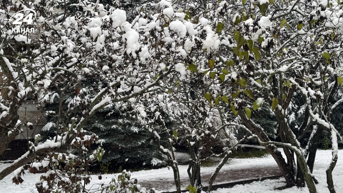 Погода в Україні Погода в Україні