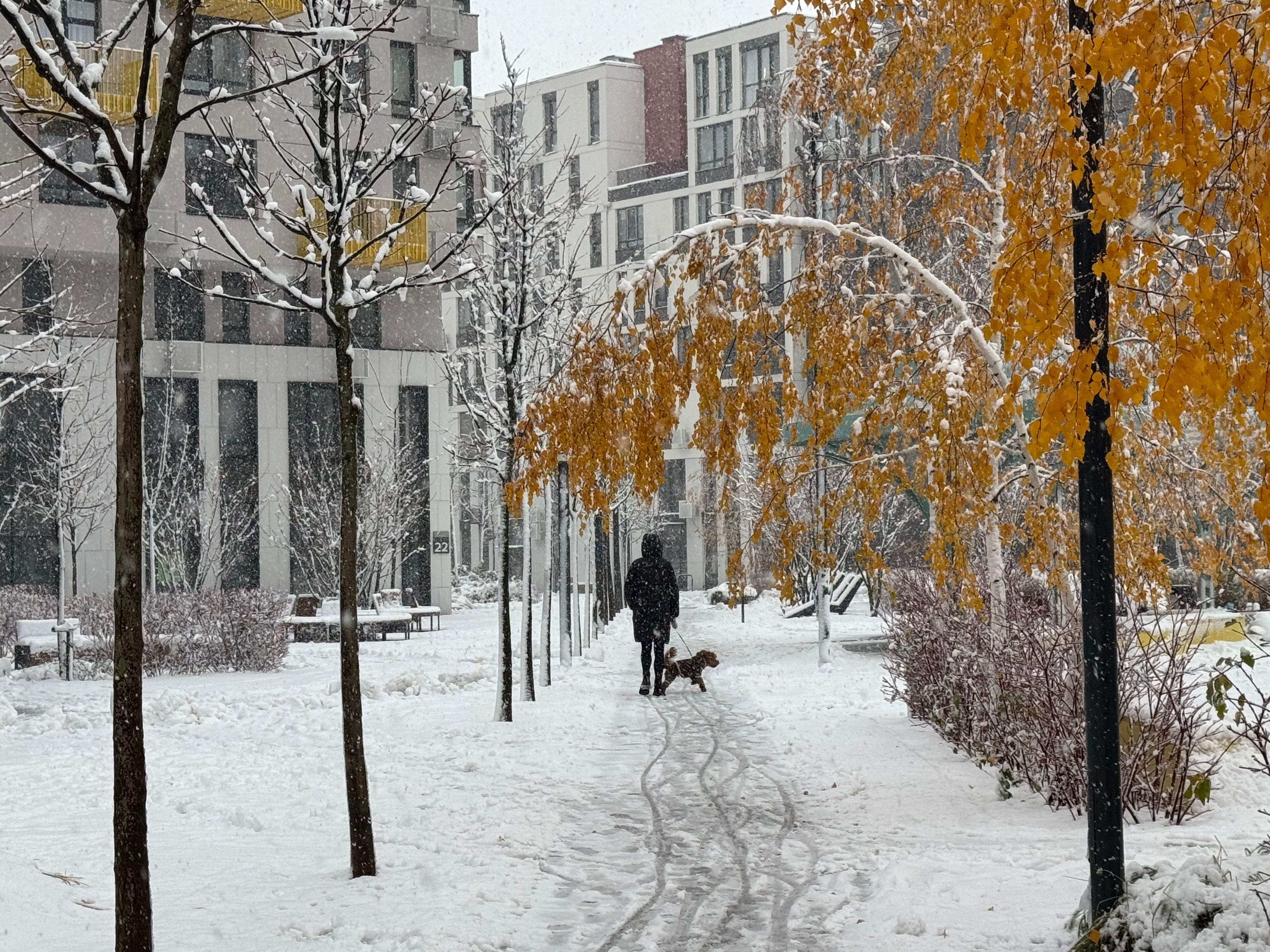 Погода в Украине Погода в Украине