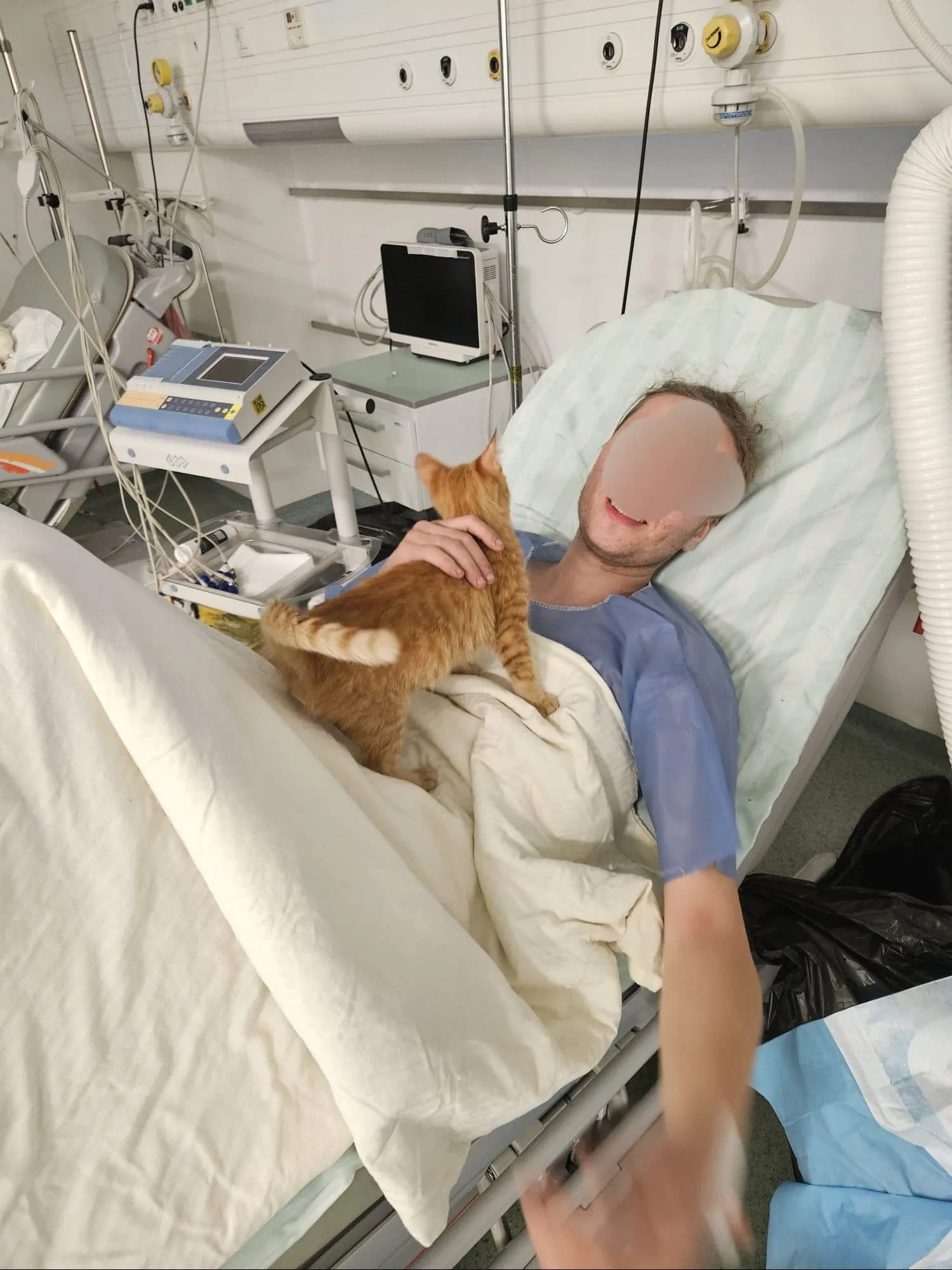 украинец с котенком украинец с котенком