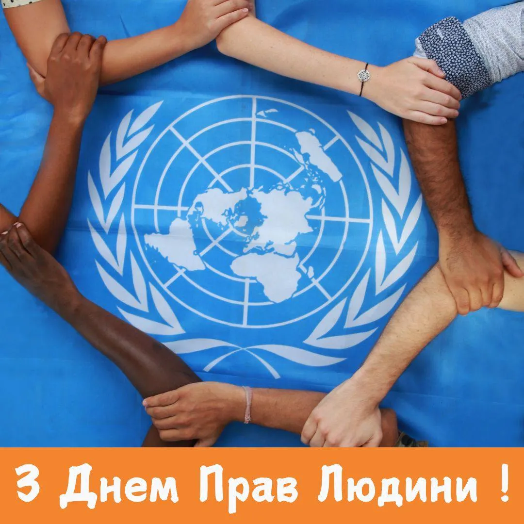 Поздравления с Днем прав человека 2024 Поздравления с Днем прав человека 2024