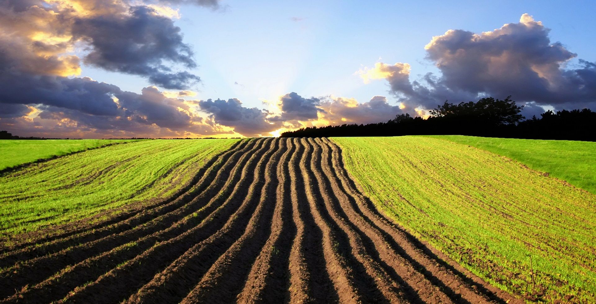Наблюдательный совет будет следить за Земельным банком Наблюдательный совет будет следить за Земельным банком