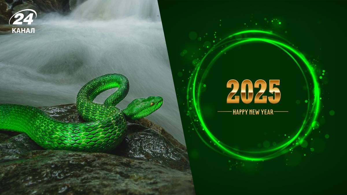 Новий рік 2025: тварина року, кольори, що одягнути, головні застереження та поради Новий рік 2025: тварина року, кольори, що одягнути, головні застереження та поради