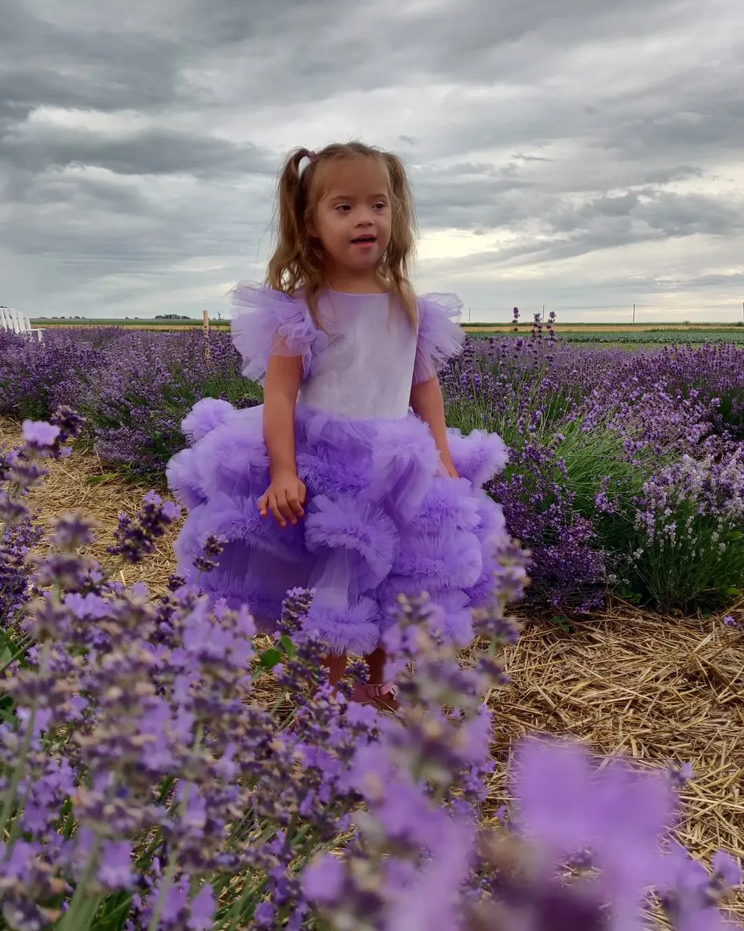 Лиза Дмитриева Лиза Дмитриева