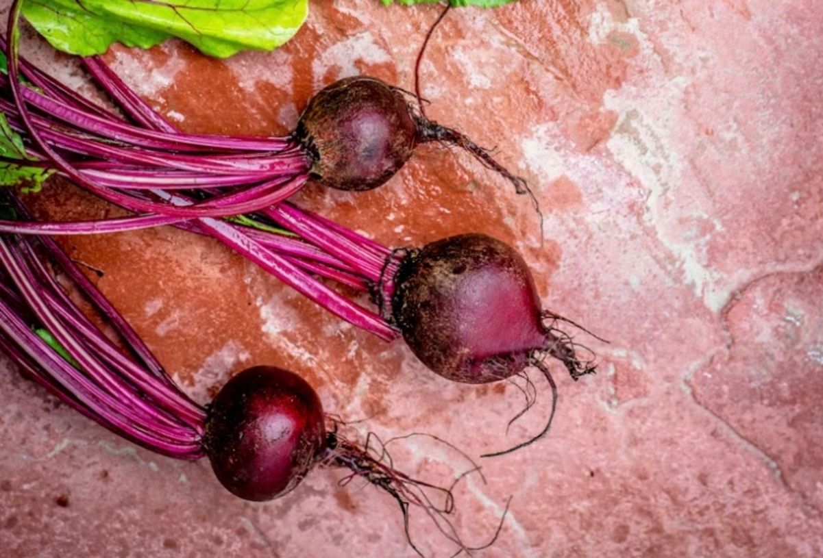Як варити буряк, щоб у нього залишився насичений колір