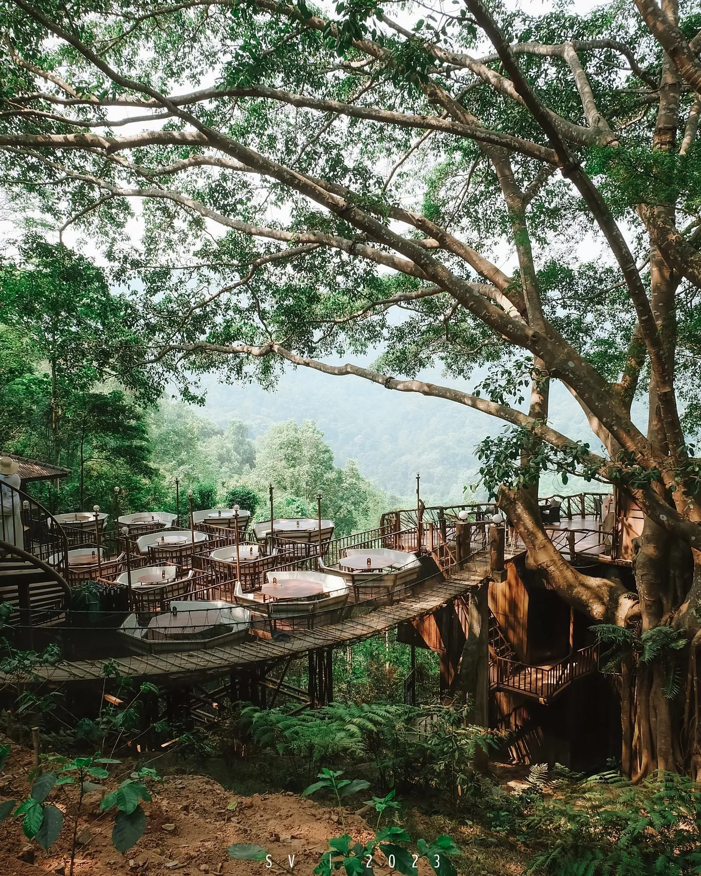 Giant Tree House Coffee Shop 