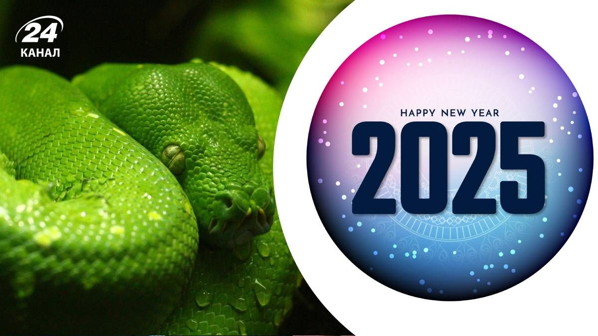 Предсказания на 2025 год для всех знаков зодиака Предсказания на 2025 год для всех знаков зодиака