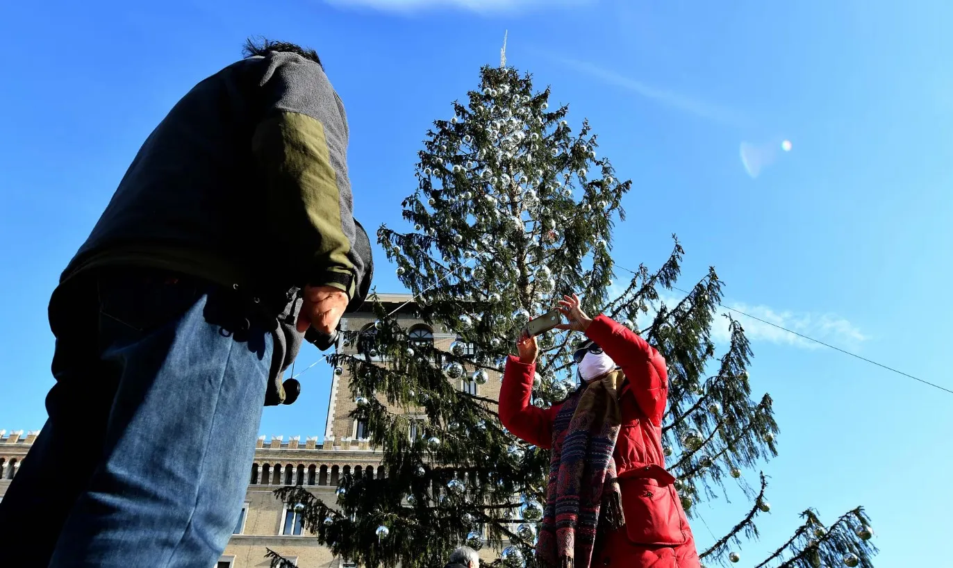 Как выглядит лисая елка в Риме Как выглядит лисая елка в Риме