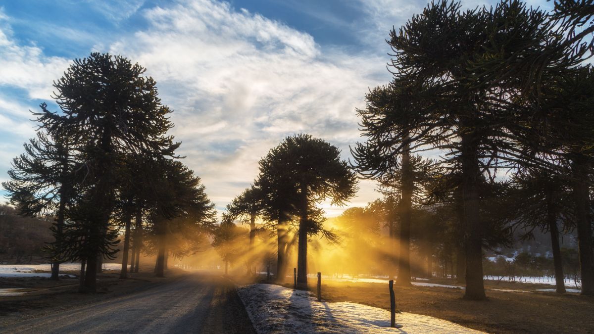 День зимнего солнцестояния 2024 День зимнего солнцестояния 2024