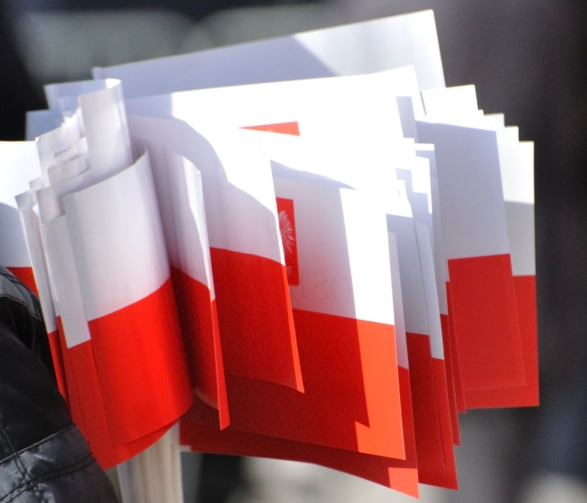 Майже 78 000 українців отримали карту поляка Майже 78 000 українців отримали карту поляка