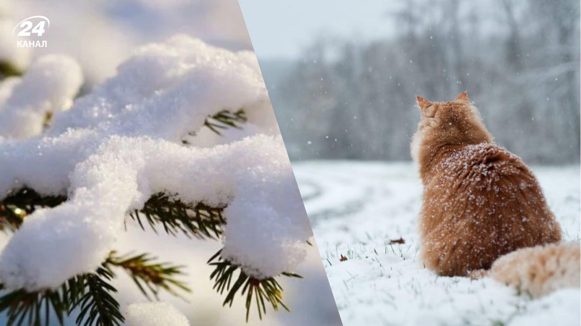 погода 13 грудня - 24 Канал погода 13 грудня - 24 Канал
