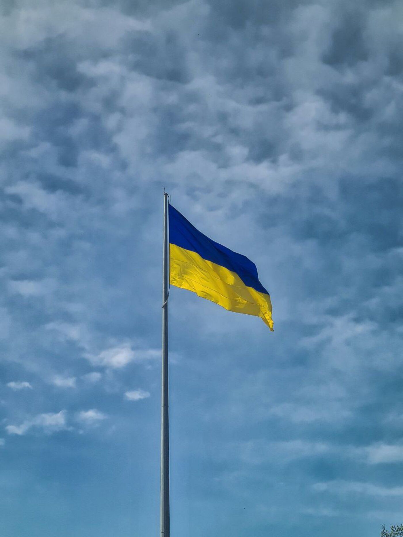 На Печерских холмах снимут самый большой украинский флаг На Печерских холмах снимут самый большой украинский флаг