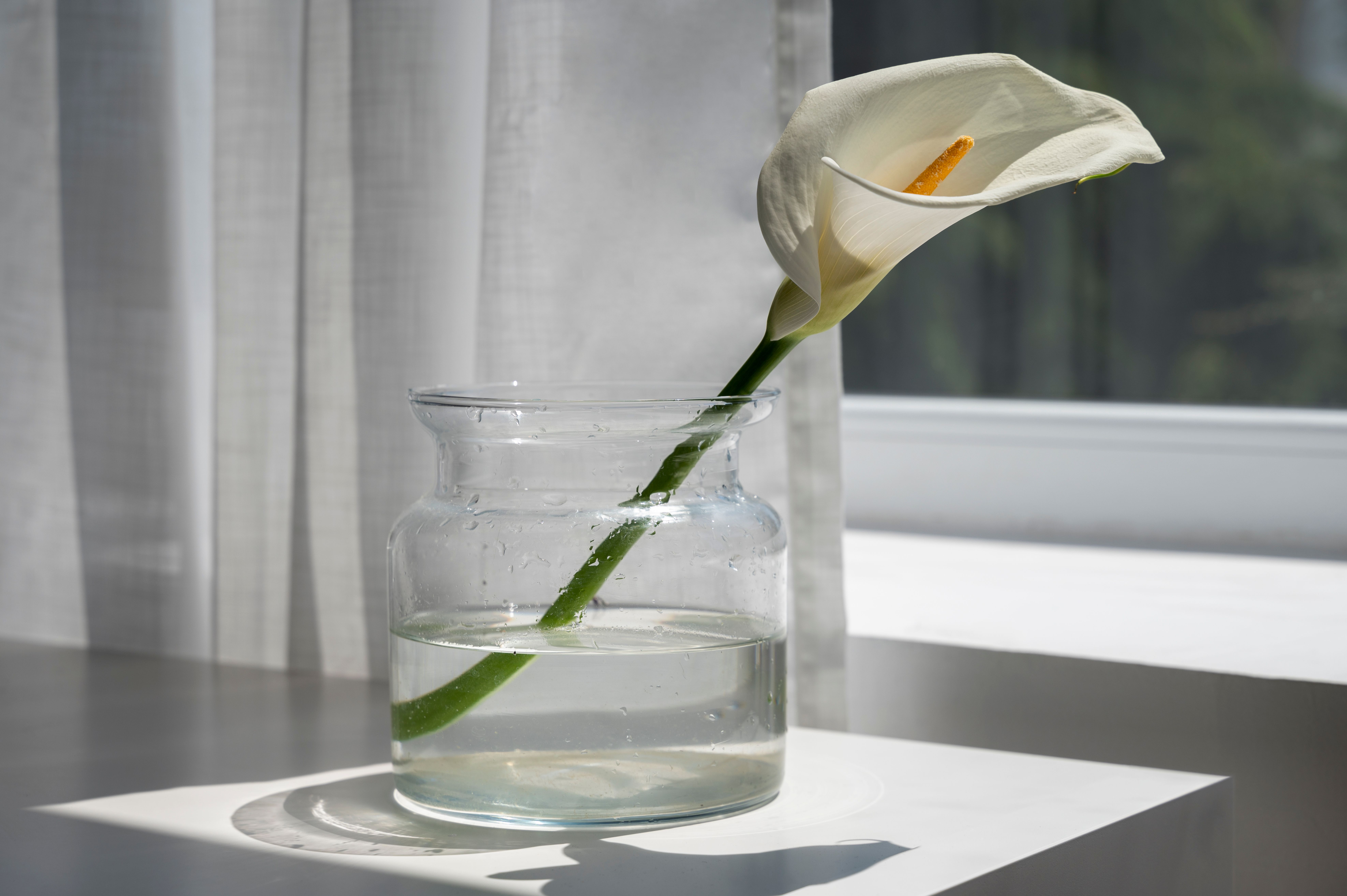 Будь-яку скляну вазу можна перетворити на оригінальний декор Будь-яку скляну вазу можна перетворити на оригінальний декор