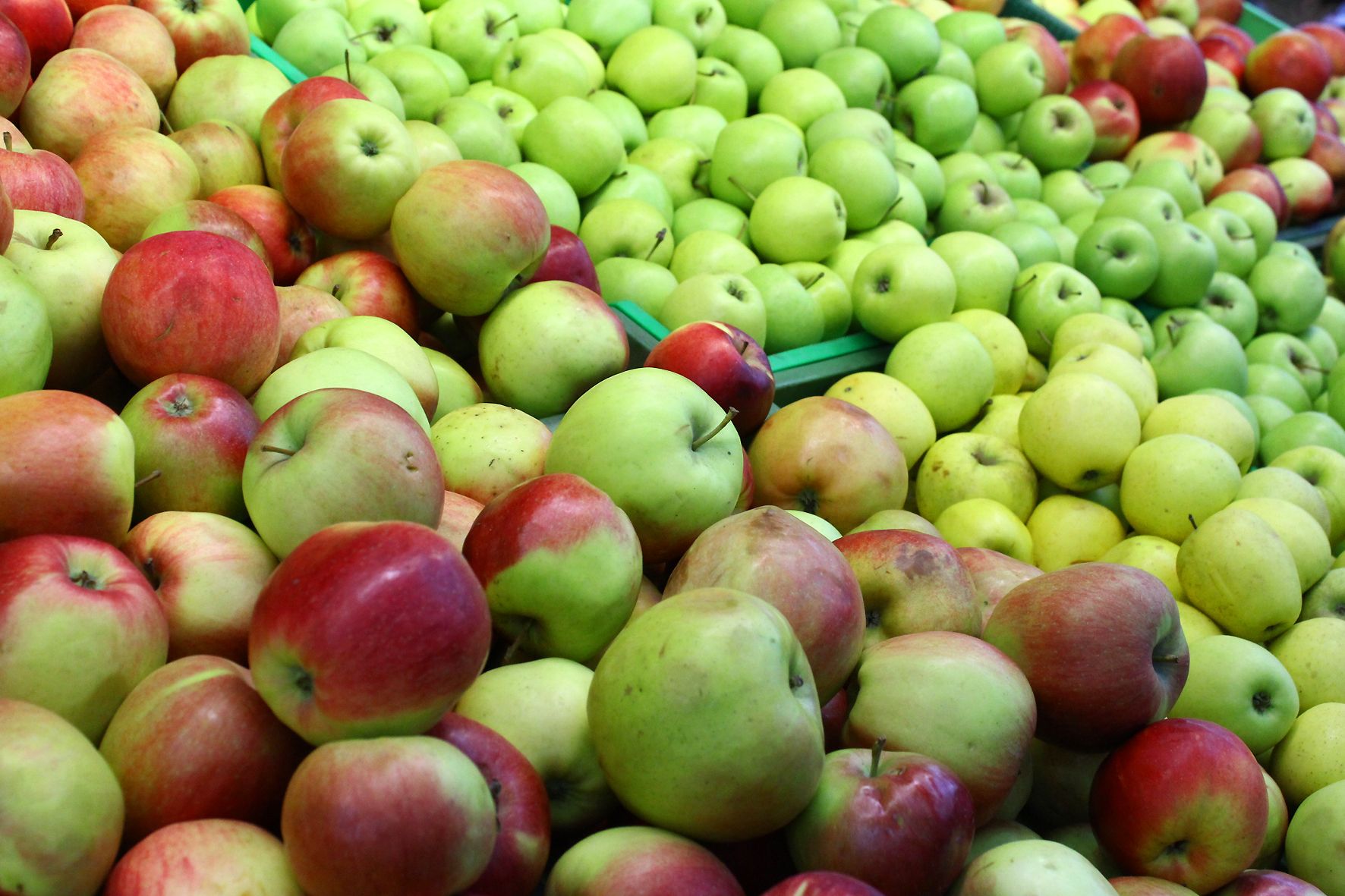 Украинские яблоки дорожают на экспорт Украинские яблоки дорожают на экспорт