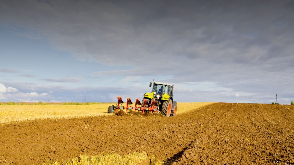 Пошлина для аграриев