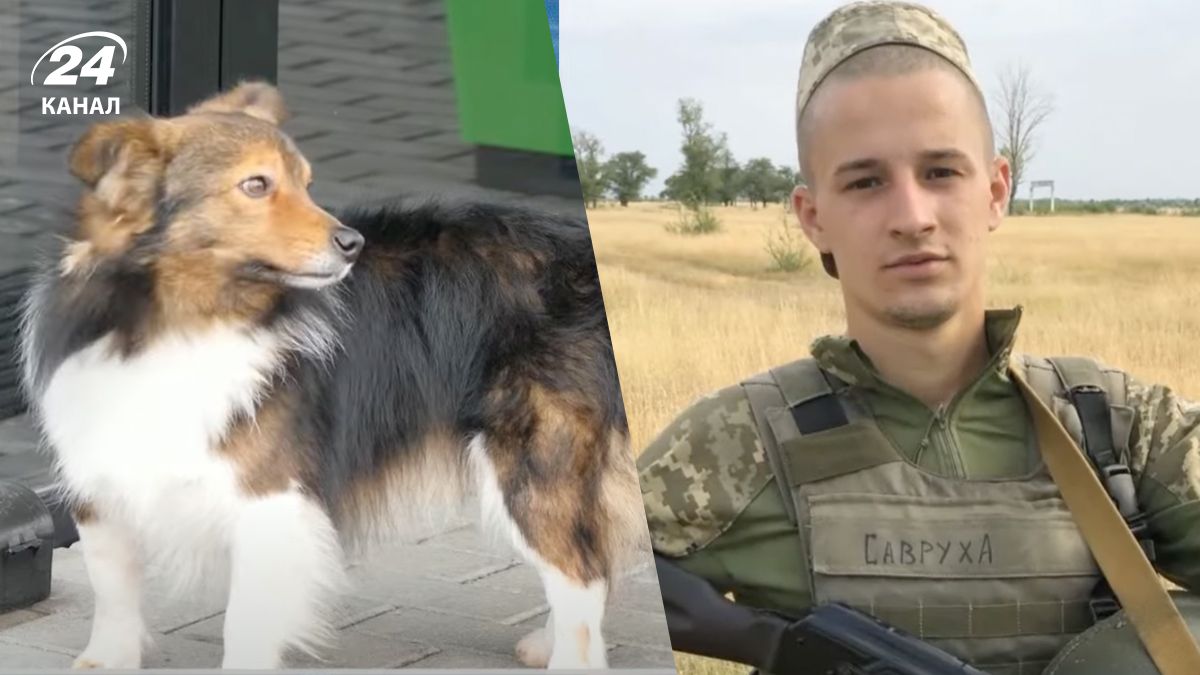 История Алексея Савранского, хозяина "украинского Хатико" История Алексея Савранского, хозяина "украинского Хатико"