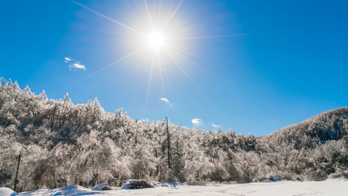 День зимового сонцестояння 2024 День зимового сонцестояння 2024