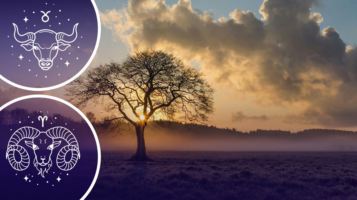 День зимового сонцестояння 2024 - гороскоп День зимового сонцестояння 2024 - гороскоп