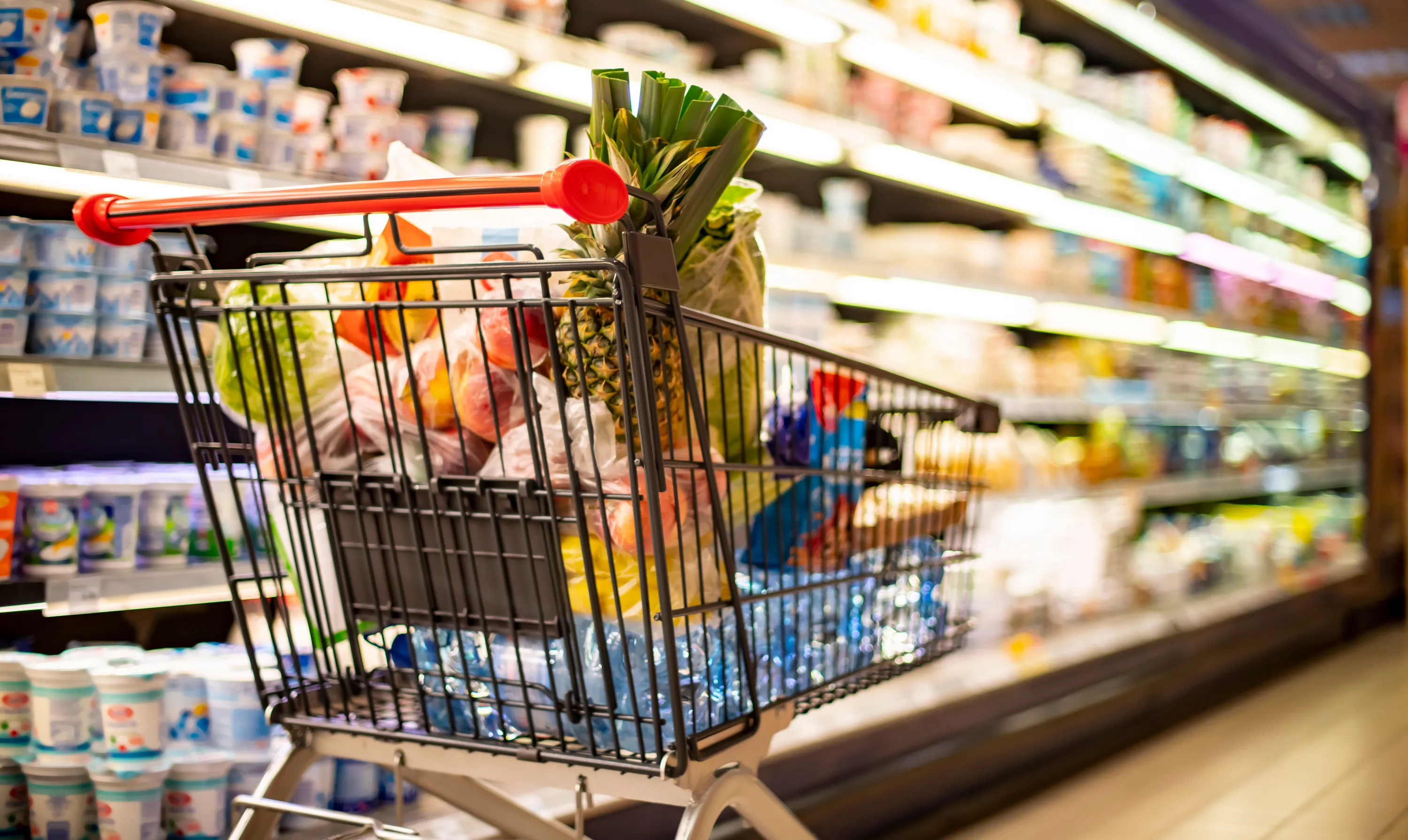 Цены на продукты в Польше, Румынии и Болгарии Цены на продукты в Польше, Румынии и Болгарии