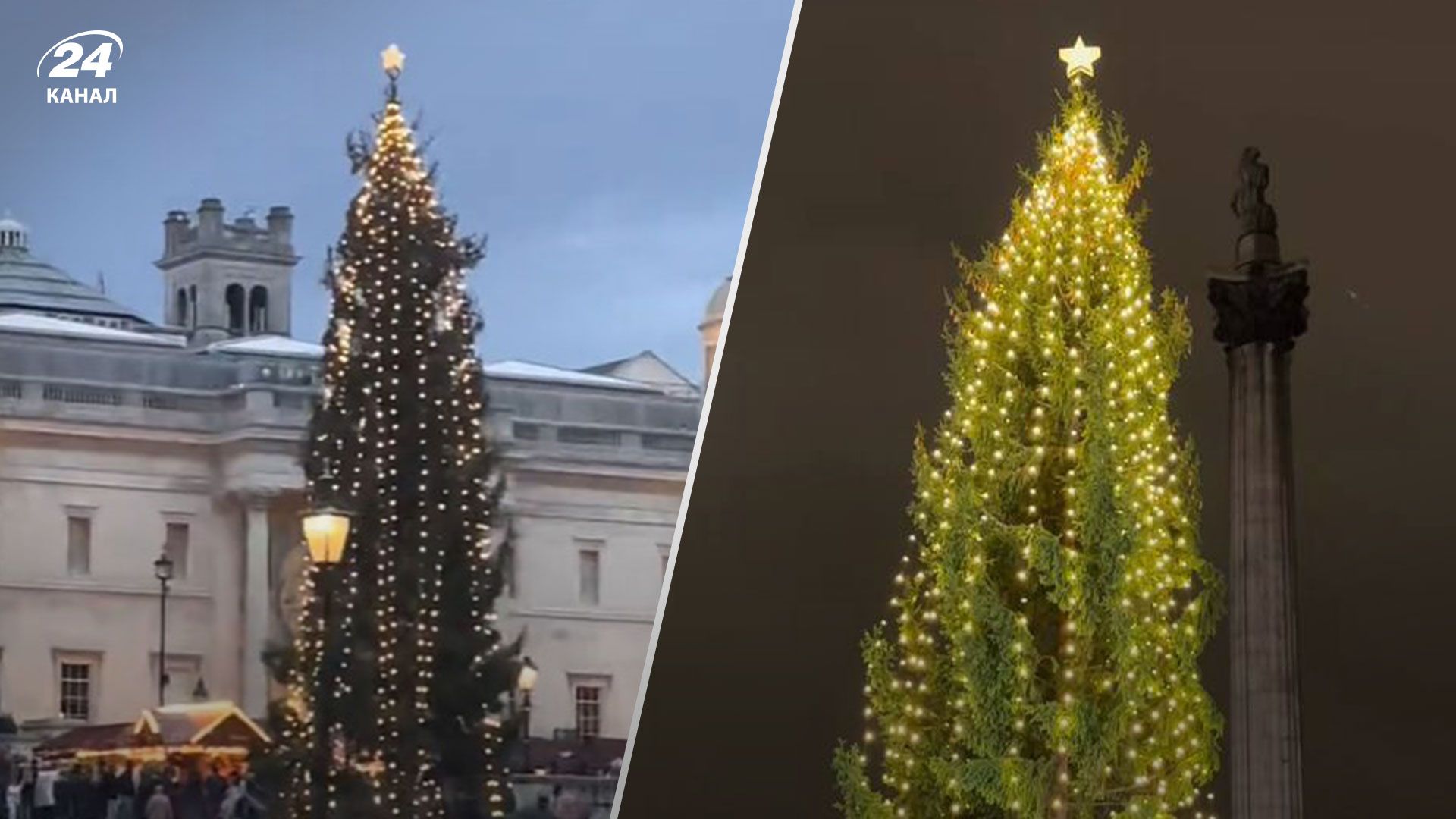 Рождественская елка в Лондоне Рождественская елка в Лондоне