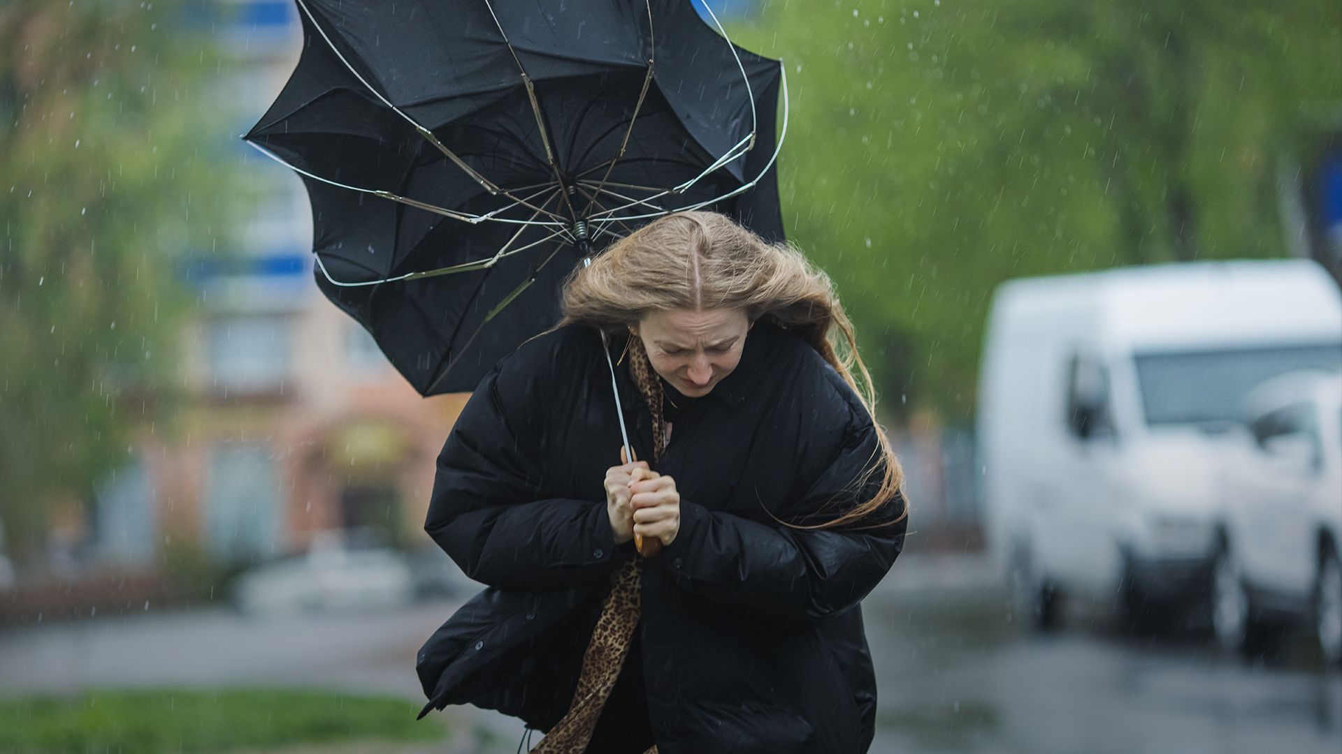 Часть Украины накроет сильный ветер Часть Украины накроет сильный ветер