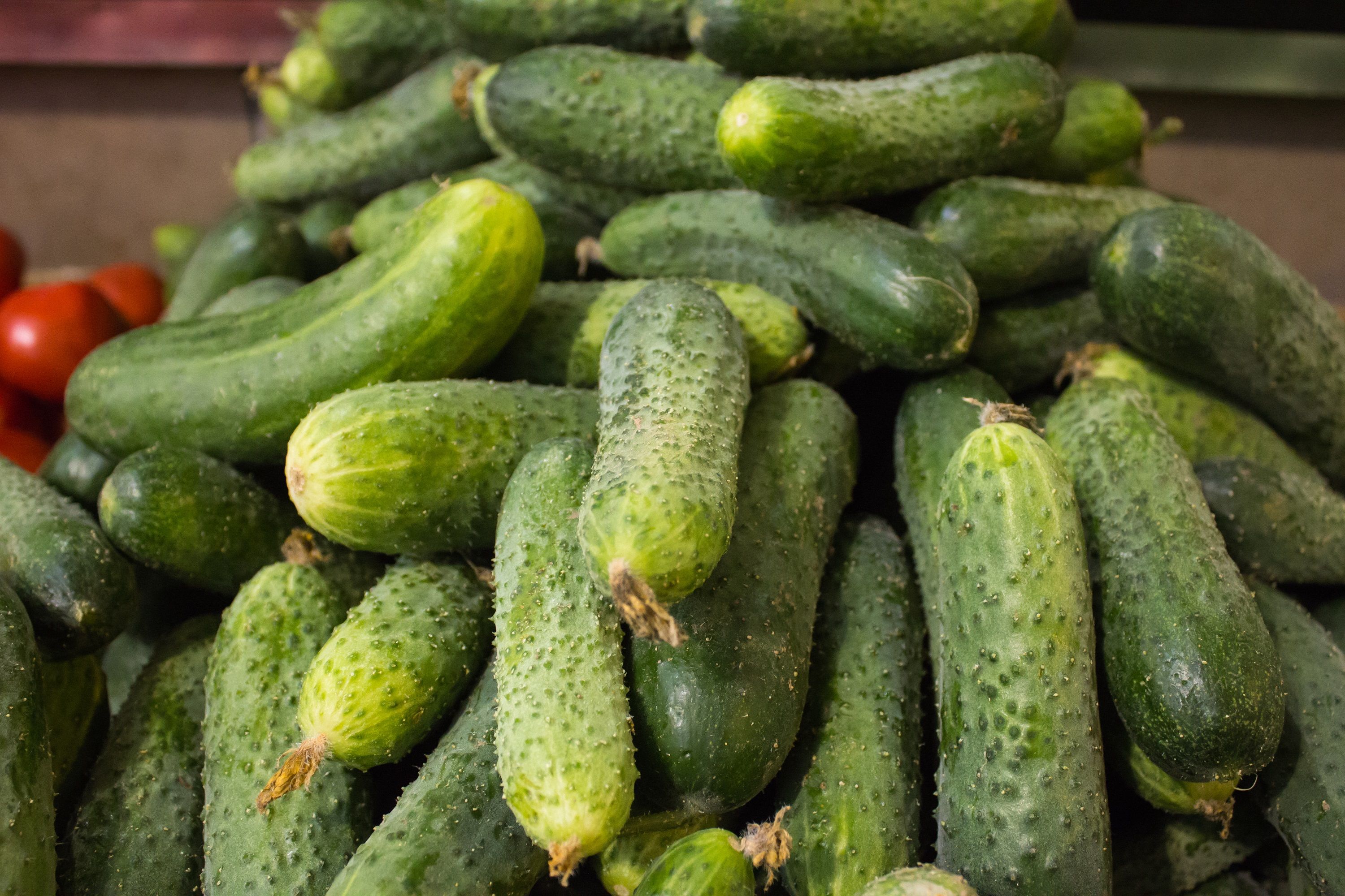 В Украине дешевеют тепличные огурцы в теплицах В Украине дешевеют тепличные огурцы в теплицах