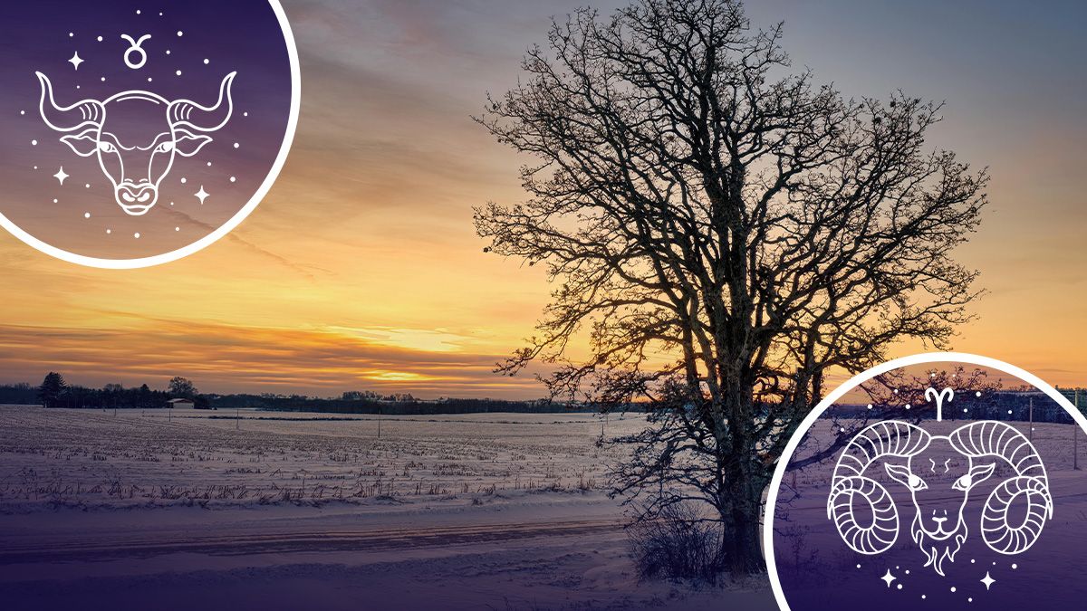 День зимового сонцестояння 2024 - гороскоп День зимового сонцестояння 2024 - гороскоп