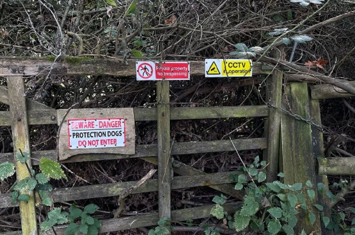 Супруги купили дом мечты за 1 миллион долларов и разочаровались Супруги купили дом мечты за 1 миллион долларов и разочаровались