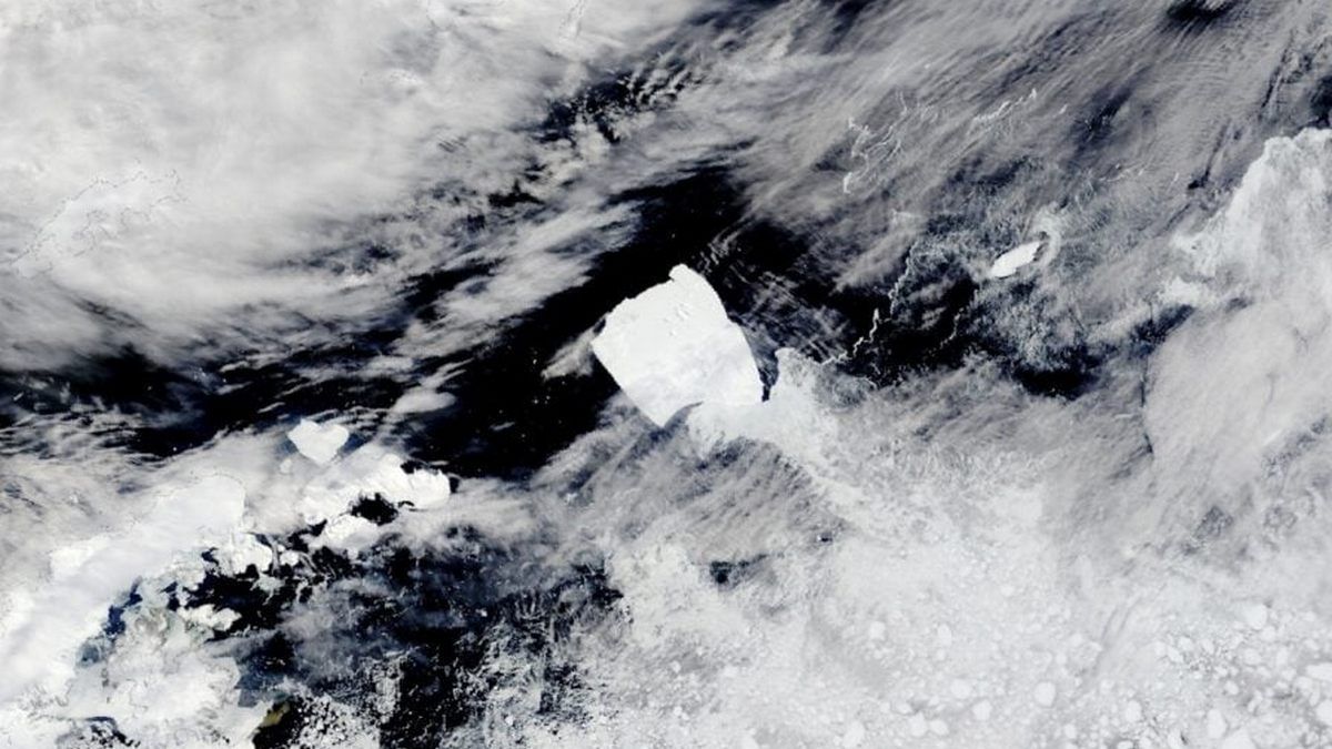 Айсберг A23a знову рухається після років, проведених у пастці Айсберг A23a знову рухається після років, проведених у пастці