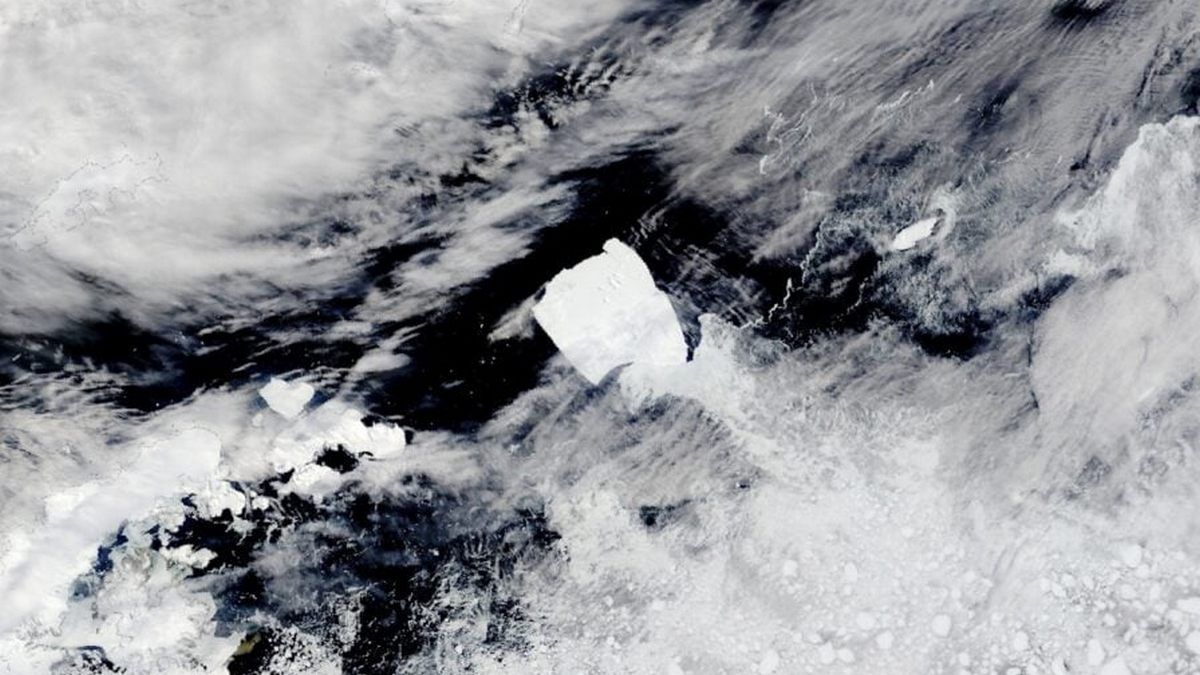 Айсберг A23a снова движется после лет, проведенных в ловушке