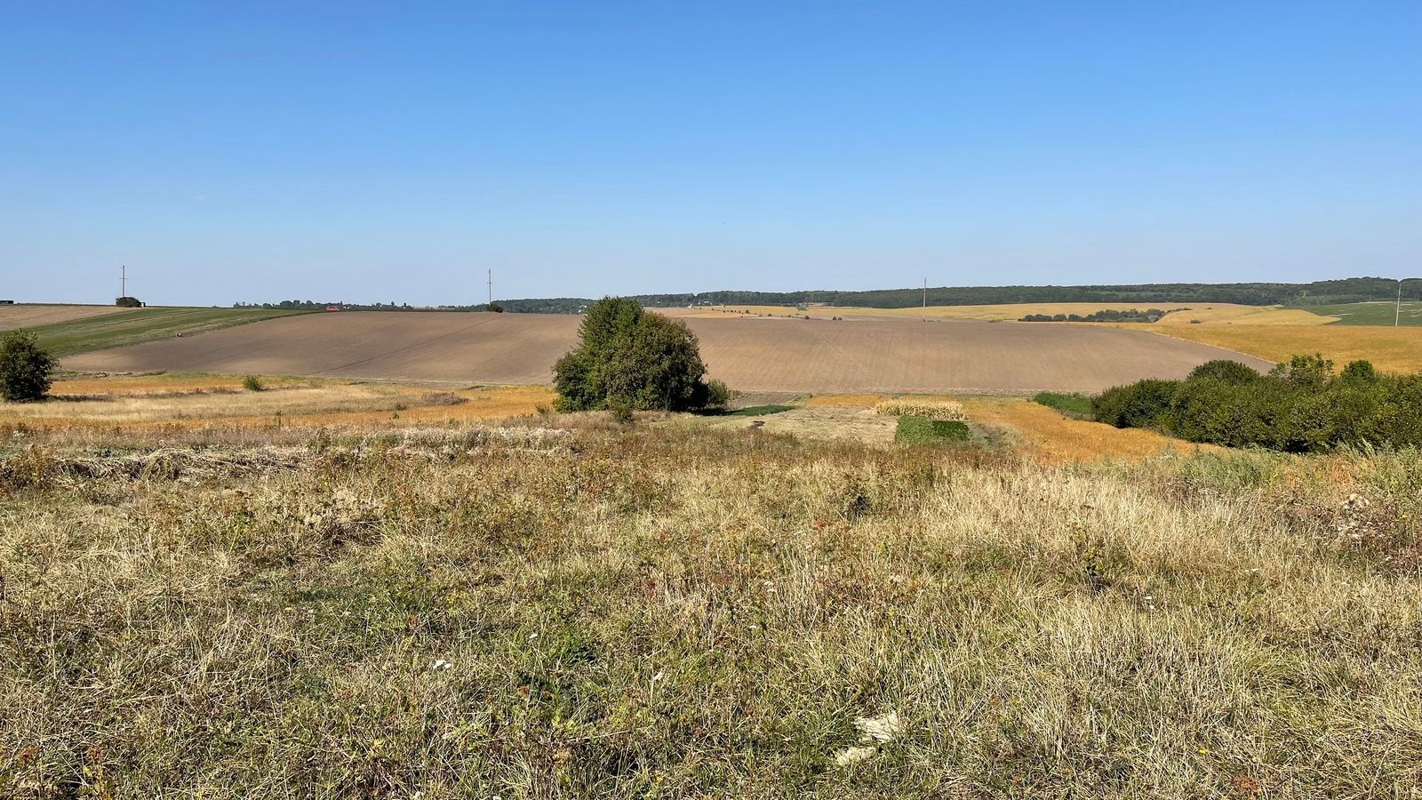 Які зміни у оформленні паїв будуть у новому році