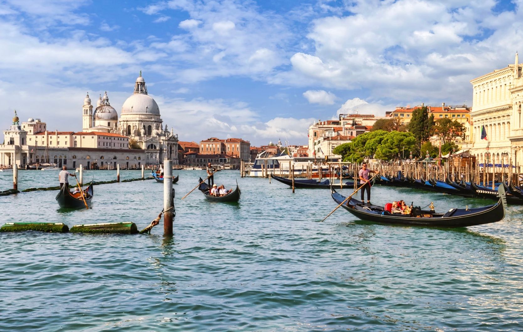 У Венеції з'явився новий острів У Венеції з'явився новий острів